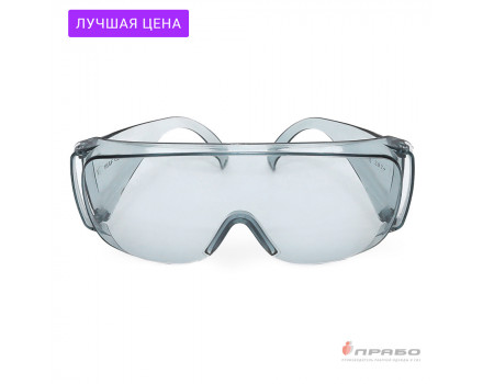Очки защитные Люцерна дымчатые Очки защитные Люцерна дымчатые